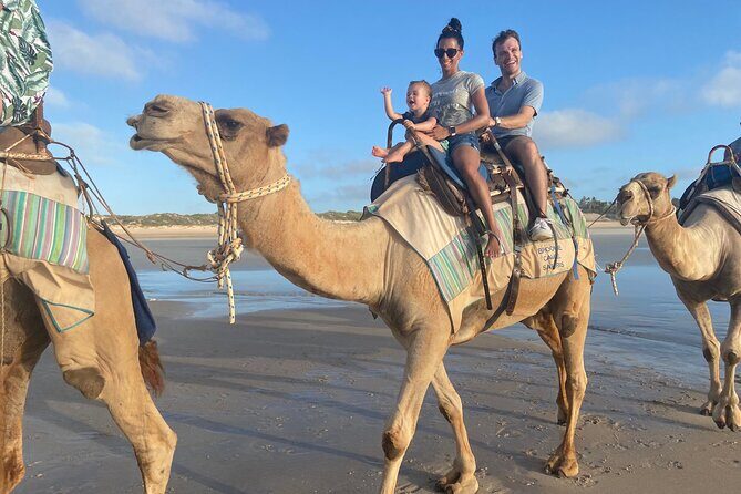 1 Hour Broome Sunset Camel Tour - Introduction