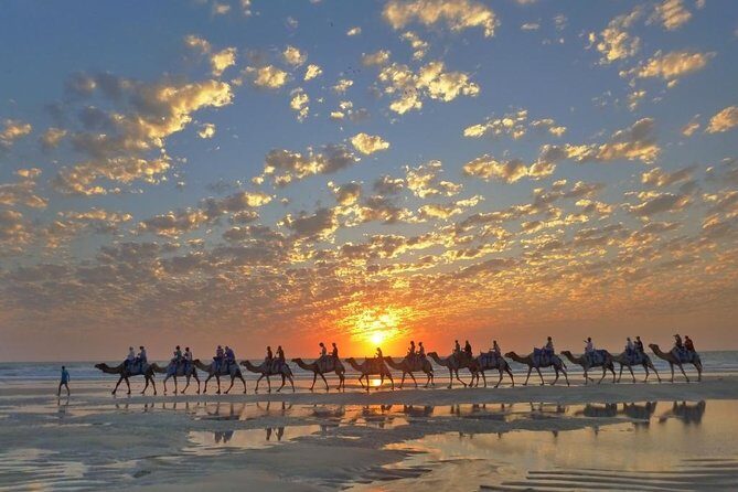 1 Hour Broome Sunset Camel Tour - Key Points