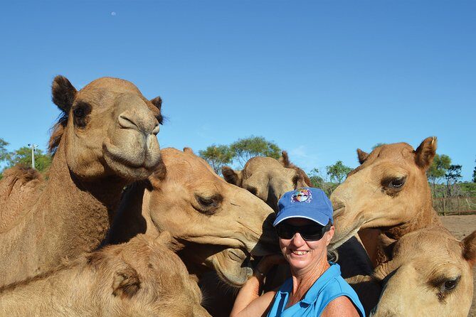 1 Hour Broome Sunset Camel Tour - FAQ