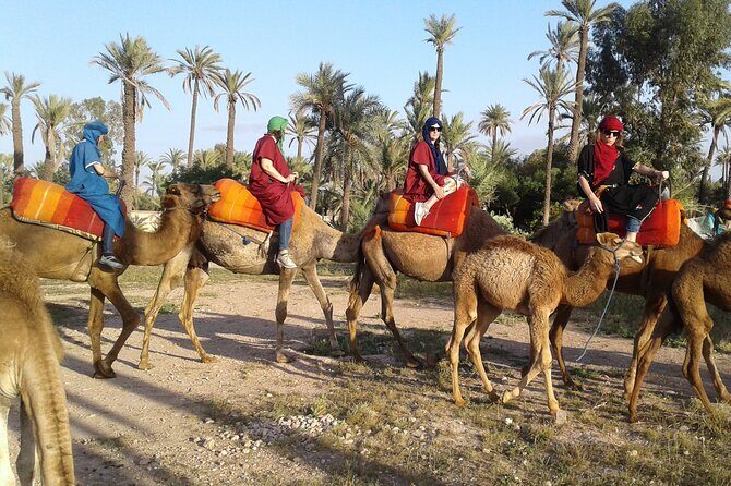 1-Hour Camel Ride in La Palmeraie Marrakech with Hotel Pick up - A Closer Look at the Marrakech Camel Ride Experience