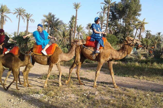 1-Hour Camel Ride in La Palmeraie Marrakech with Hotel Pick up - The Sum Up: Why This Tour Might Be Just Right for You