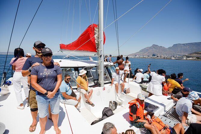1- Hour Catamaran Cruise Cape Town - Final Thoughts on Value and Experience