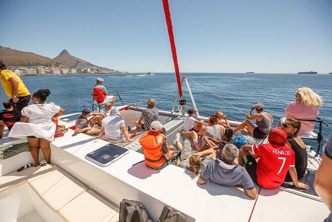 1- Hour Catamaran Cruise Cape Town - Who Will Love It?