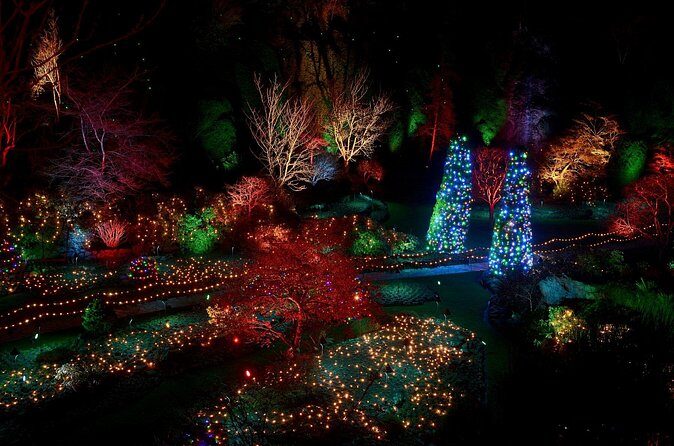 1 hour City Tour & Butchart Gardens: Christmas - Entry included! - Who Will Love This Tour?
