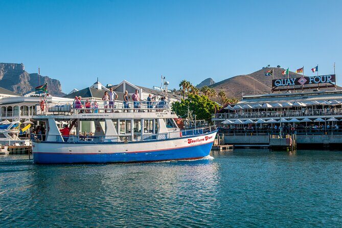 1 Hour Coastal Catamaran Cruise from Cape Town - An Honest Look at the Coastal Catamaran Experience