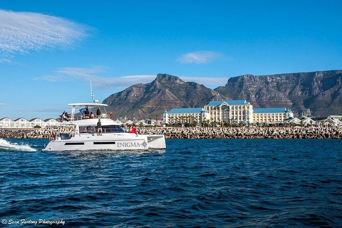 1 Hour Coastal Catamaran Cruise from Cape Town - Timing, Accessibility, and Practicalities