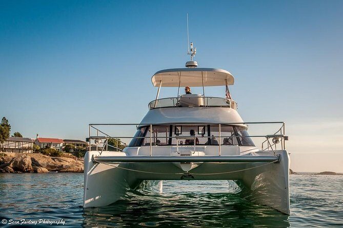 1 Hour Coastal Catamaran Cruise from Cape Town - Pricing and Value