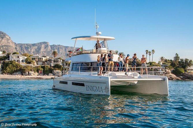 1 Hour Coastal Catamaran Cruise from Cape Town - Authentic Experiences and Real Traveler Insights