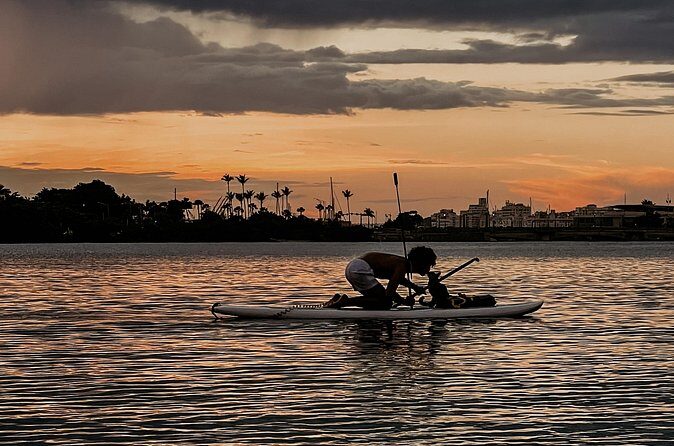 1-Hour Condado Lagoon Paddleboard Rental in San Juan - The Sum Up