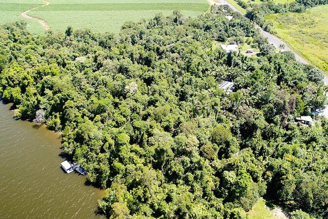 1-Hour Daintree River wildlife cruise - Authenticity and Value for Your Dollar