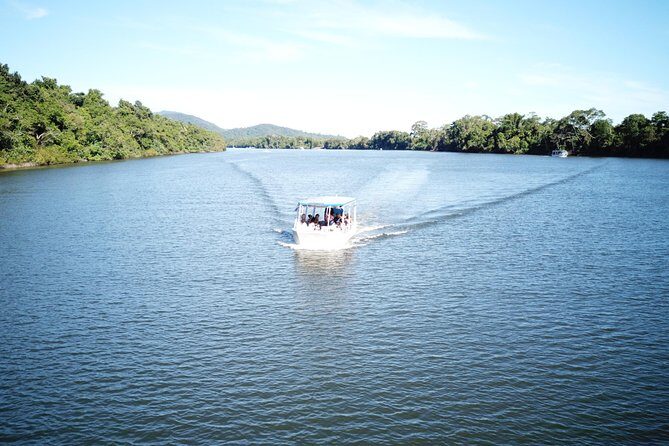 1-Hour Daintree River wildlife cruise - Who Will Love This Tour?