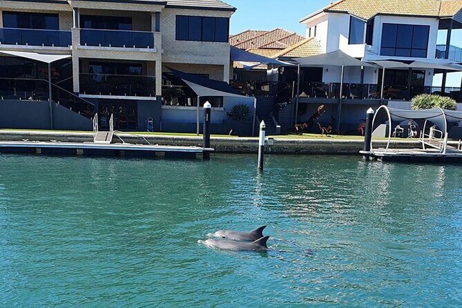 1 Hour Deluxe Scenic Dolphin Cruise - Final Thoughts