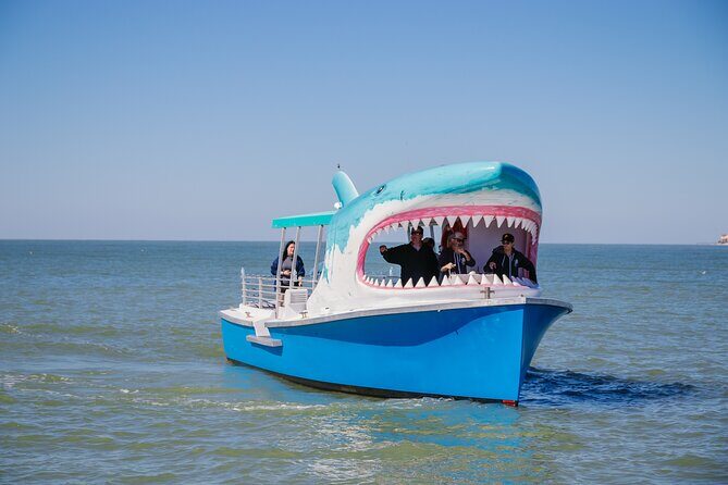 1-hour Dolphin Sightseeing Adventure Cruise from Madeira Beach - Introduction