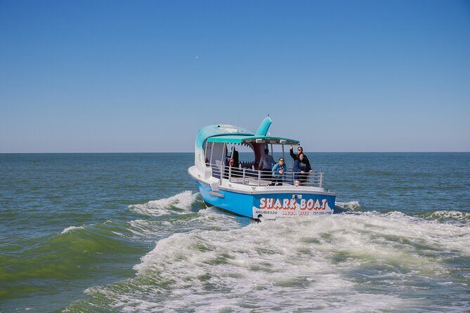 1-hour Dolphin Sightseeing Adventure Cruise from Madeira Beach - Final Thoughts