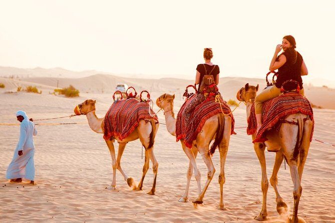 1-Hour Dune Buggy Self-Drive, Camel Ride & Sandboarding Adventure - Frequently Asked Questions