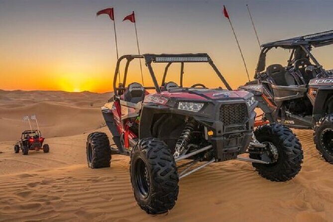 1-Hour Dune Buggy Self Drive with Camel Ride and Sand Boarding in Red Dunes - Final Thoughts: Is This Tour Worth It?