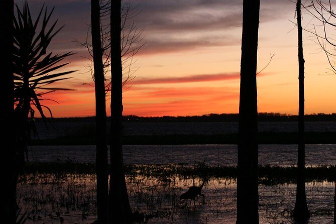 1-Hour Evening Airboat Ride - Final Thoughts: Who Should Consider This Tour?