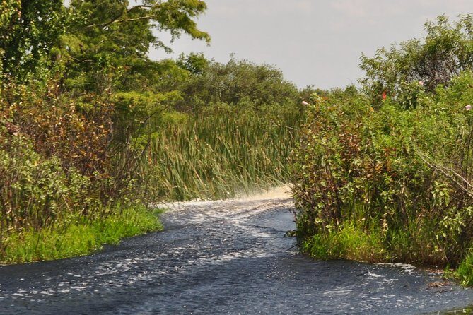 1 Hour Everglades Airboat Tour Central Florida - The Verdict