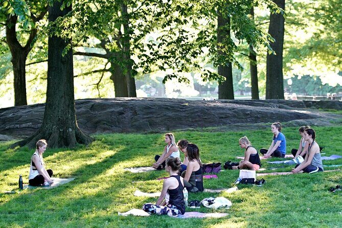 1 Hour Group Yoga Class in Central Park - What to Bring and Cost Considerations