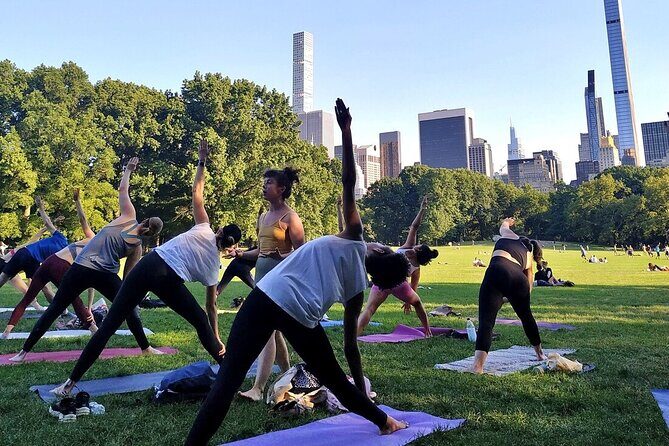 1 Hour Group Yoga Class in Central Park - The Experience: What We Think