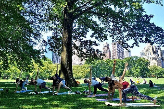 1 Hour Group Yoga Class in Central Park - Who Should Consider This Experience?