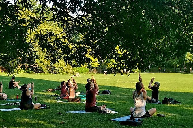 1 Hour Group Yoga Class in Central Park - Cancellation and Weather Policy
