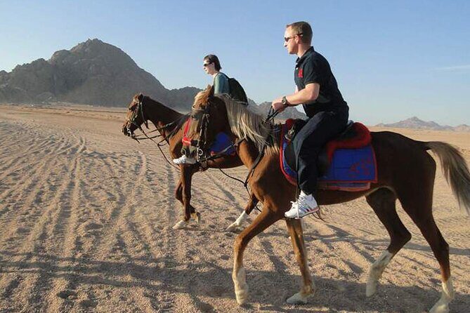 1 Hour Guided Horse Riding Activity in Sharm El Sheikh - Exploring the Ride: What You Can Expect