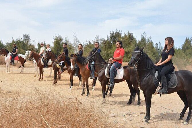 1 Hour Guided Horse Riding Activity in Sharm El Sheikh - FAQ Section