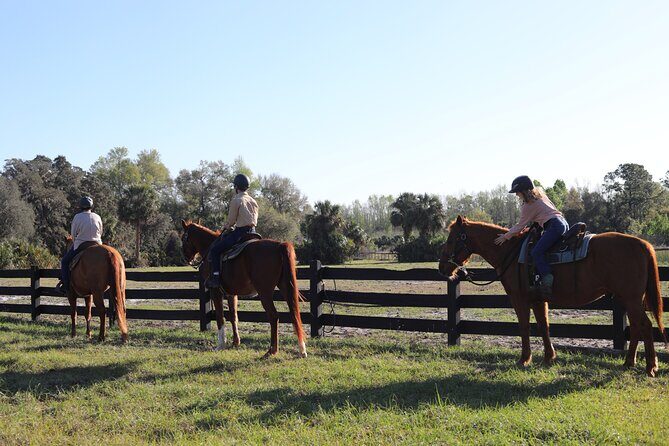 1 Hour Guided Horseback Trail Ride Rock Springs Run State Reserve - Practical Tips for Your Ride