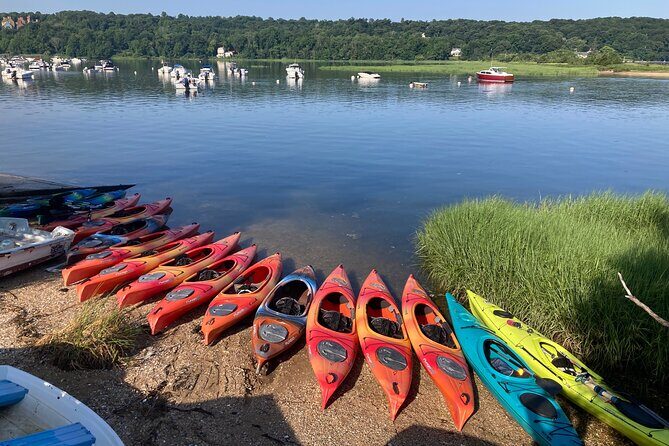 1 Hour Guided Kayak Tour in Cold Spring Harbor NY - Who Will Enjoy This Experience?