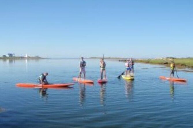 1 Hour Guided SUP/Kayak Tour in Pelican Bay at Fort Myers Beach - The Sum Up: Is This Tour Worth It?