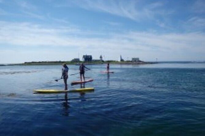 1 Hour Guided SUP/Kayak Tour in Pelican Bay at Fort Myers Beach - FAQs