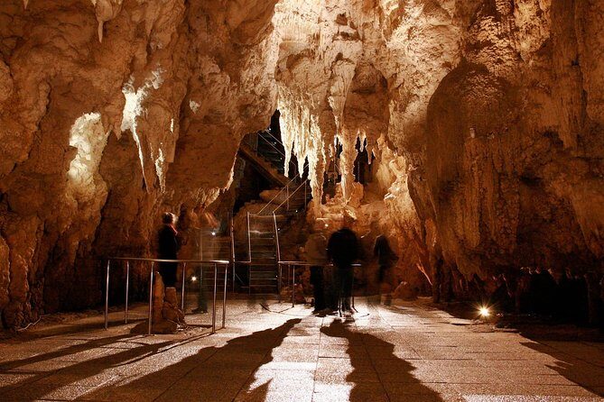 1-Hour Guided Tour of Aranui Cave Waitomo - Who Is This Tour Best For?