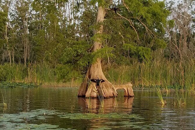 1 Hour Historical Wildlife Tour of The Famous Chain of Lakes - Who Will Love This Tour?