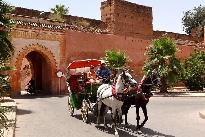 1-Hour Horse Carriage Drawn Marrakech City Tour - A Closer Look at the Marrakech Horse Carriage Tour