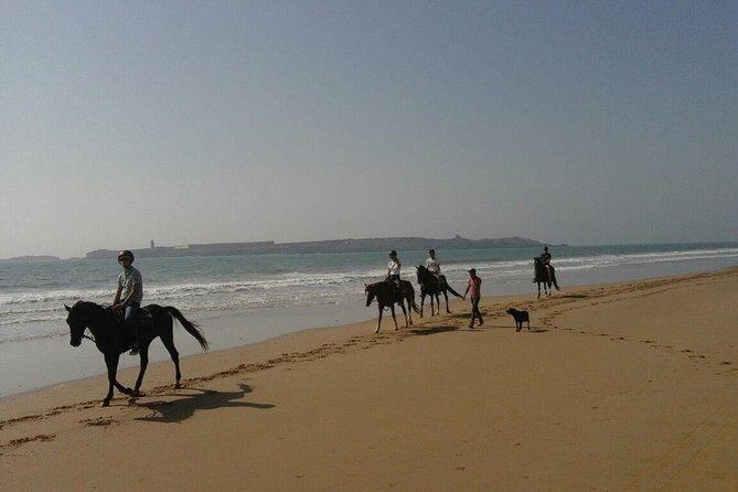 1 hour horse ride on the beach of essaouira - The Details of the Itinerary