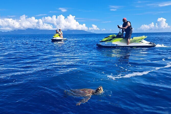 1-hour jet ski excursion in Tahiti - Marine Life and Scenic Highlights: Authentic Encounters