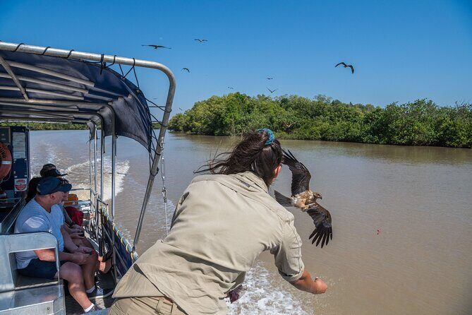 1 Hour Jumping Crocodile Cruise on the Adelaide River - Key Points