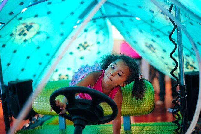 1 Hour Lady Buggy Art Tour Experience in Wynwood - Final Thoughts: Who Is This Tour Best For?