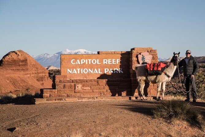 1-Hour Llama Hike Family Friendly and Fun - Key Points