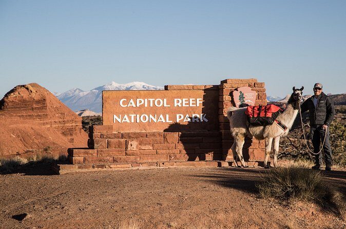 1-Hour Llama Hike Family Friendly and Fun - Who Should Consider This Tour?