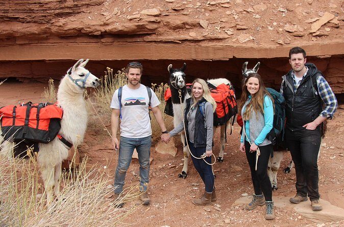 1-Hour Llama Hike Family Friendly and Fun - The Sum Up