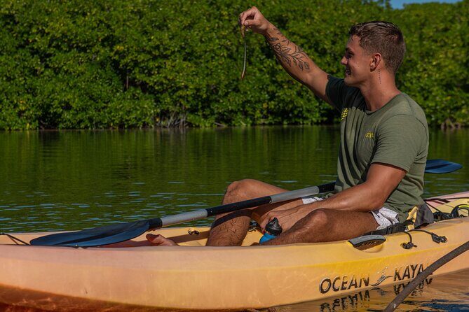 1 Hour Mangrove Kayak Tour - Exploring Bonaire’s Mangrove Kayak Tour: A Calm and Educational Adventure