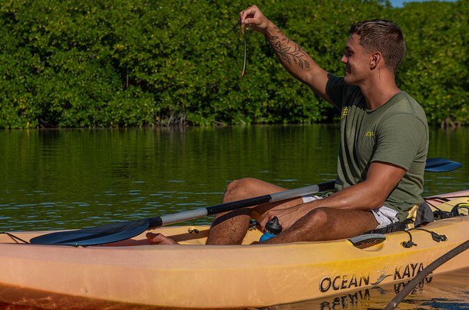 1 Hour Mangrove Kayak Tour - Who Should Book This Tour?