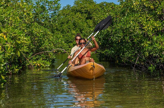 1 Hour Mangrove Kayak Tour - FAQ