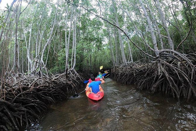 1 Hour Mangrove Tour From Lembongan with Kayak, Paddle, or Boat - Introduction