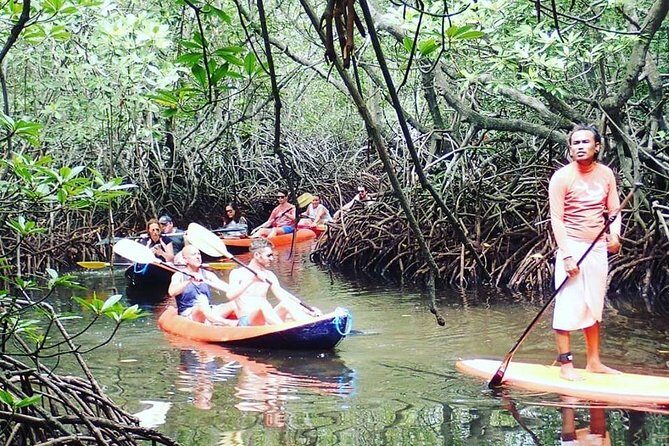 1 Hour Mangrove Tour From Lembongan with Kayak, Paddle, or Boat - Exploring the Mangrove Forest: What to Expect