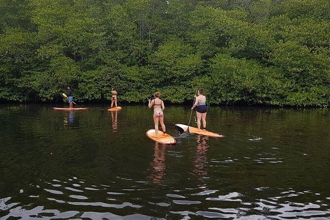 1 Hour Mangrove Tour From Lembongan with Kayak, Paddle, or Boat - Final Thoughts: Is It Worth It?