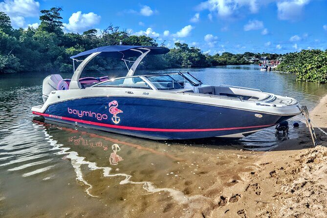 1 Hour Private Boat Tour in Fort Lauderdale Up to 12 people - Introduction