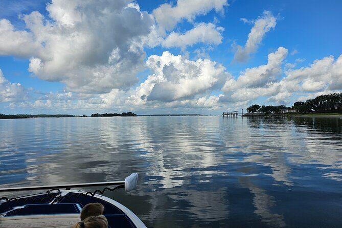 1 Hour Private Dolphin and Nature Tour - Introduction